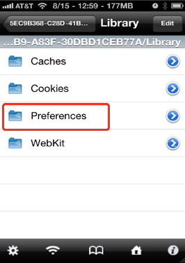 iPhone backup preferences