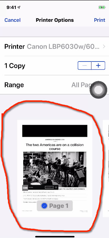 Use print option to convert webpage to PDF iOS