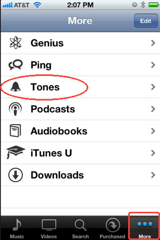 The iTunes ringtone store for iPhone