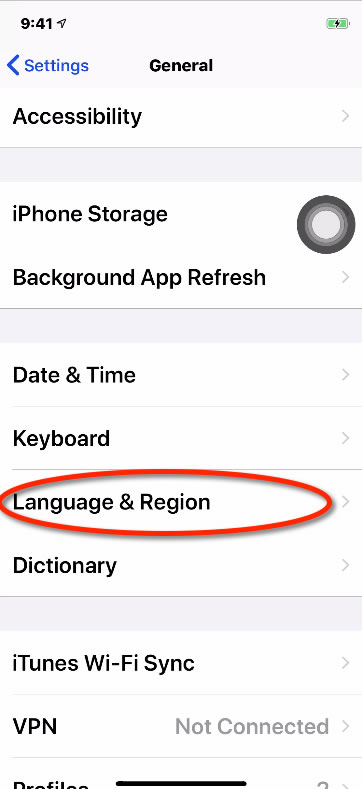 international language system iphone