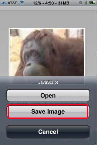 iphone safari save image to other iPhone application