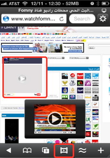 iPhone browser like SkyFire  can play flash video 