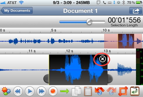 Twisted Wave is an iPhone audio recoder and editor