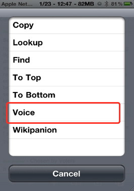 Speak any paragraph with Action menu plugin Voice